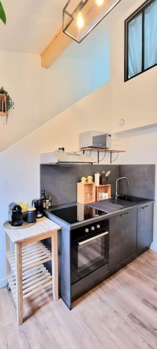Le Duplex Catherine - Metro - Gare - Wifi ตูลูส ภายนอก รูปภาพ