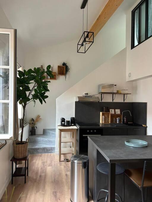 Le Duplex Catherine - Metro - Gare - Wifi ตูลูส ภายนอก รูปภาพ