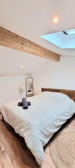 Le Duplex Catherine - Metro - Gare - Wifi ตูลูส ภายนอก รูปภาพ
