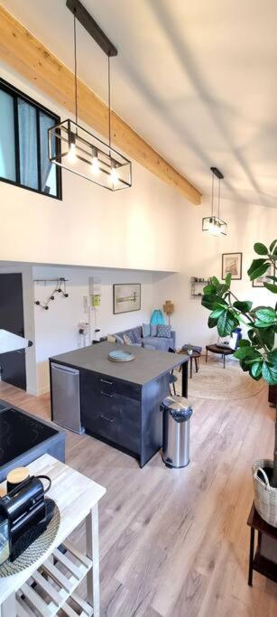 Le Duplex Catherine - Metro - Gare - Wifi ตูลูส ภายนอก รูปภาพ