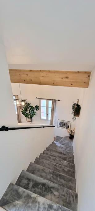Le Duplex Catherine - Metro - Gare - Wifi ตูลูส ภายนอก รูปภาพ