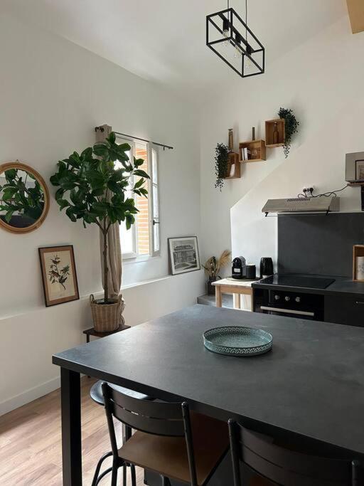Le Duplex Catherine - Metro - Gare - Wifi ตูลูส ภายนอก รูปภาพ